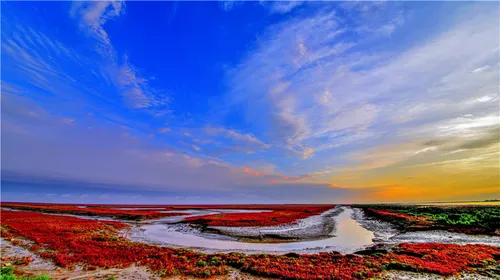 红海滩风景廊道的简单介绍_红海滩风景廊道攻略_红海滩风景廊道正门是哪个门