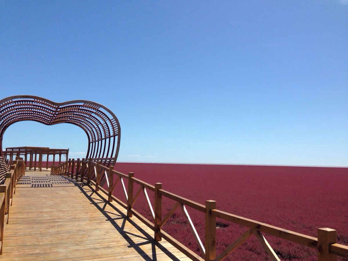 红海滩风景廊道正门是哪个门_红海滩风景廊道的简单介绍_红海滩风景廊道攻略