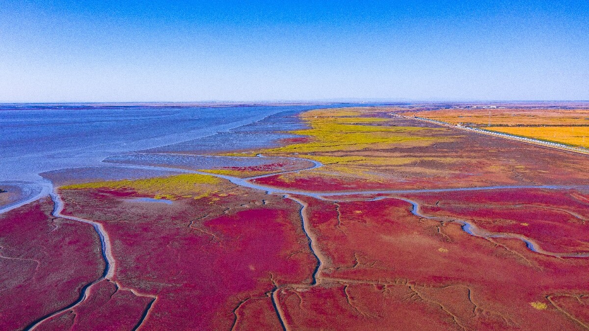 红海滩风景廊道攻略_红海滩风景廊道正门是哪个门_红海滩风景廊道的简单介绍