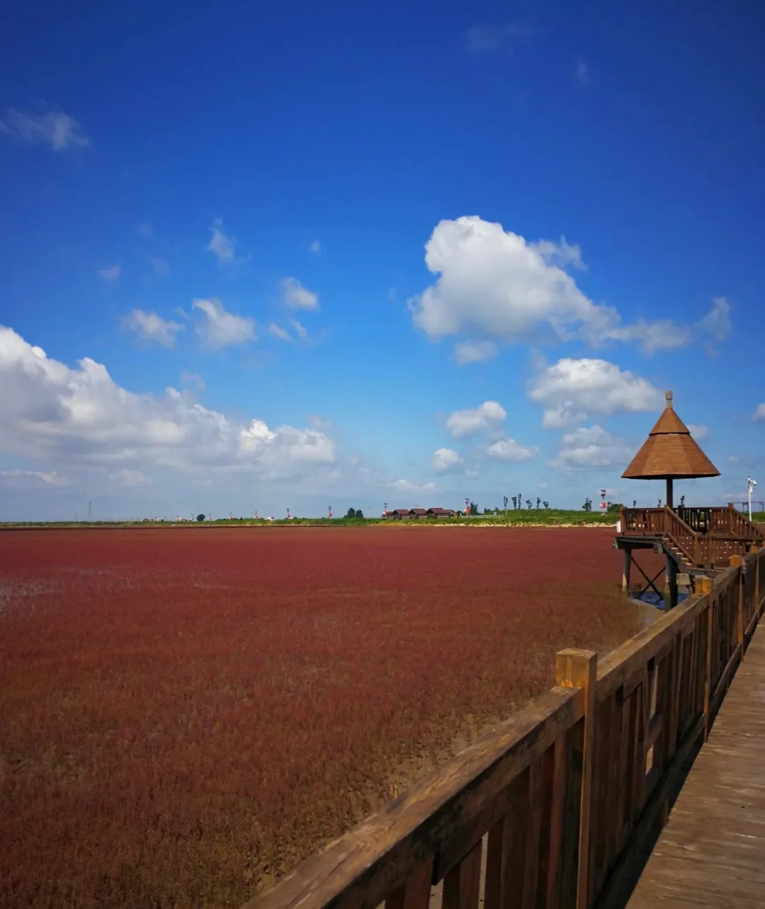 红海滩风景廊道攻略_红海滩风景廊道正门是哪个门_红海滩风景廊道的简单介绍