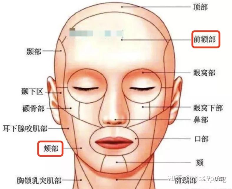 人脸考勤如何作弊_人脸考勤机作弊软件_人脸考勤机作弊视频